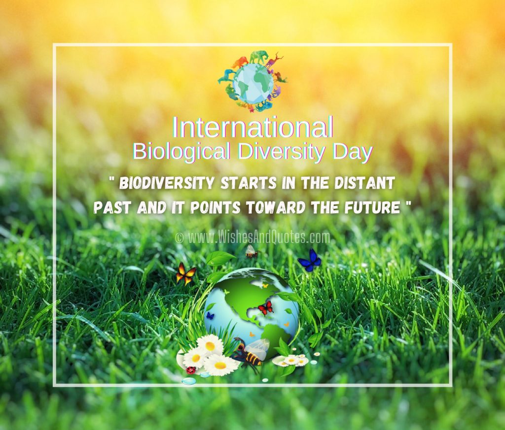 Biodiversity Day