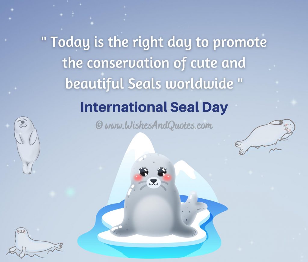 International Day of the Seal