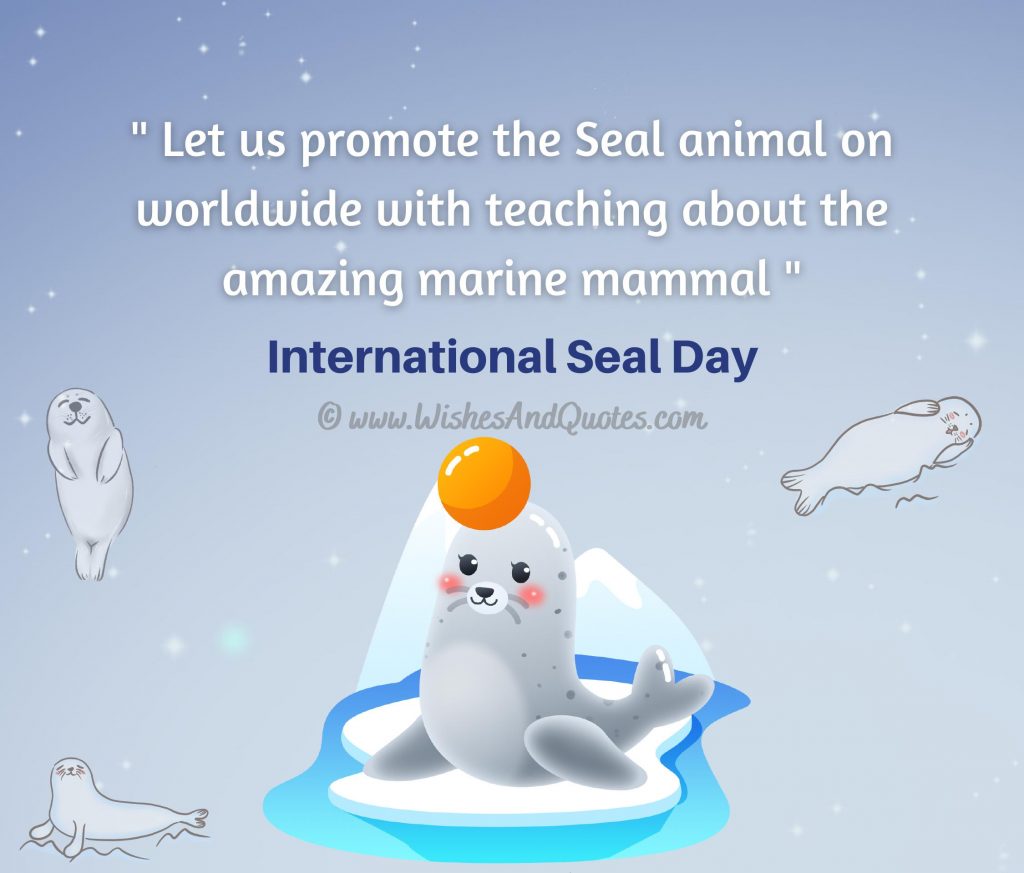 International Day of the Seal