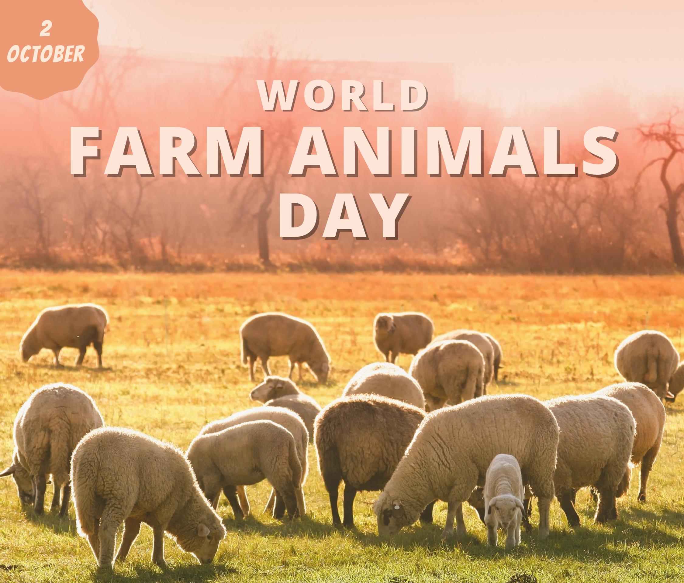 Farm Animals Day